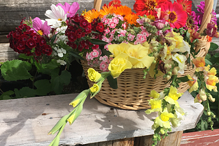 Sustainable Wildflower Harvesting Practices