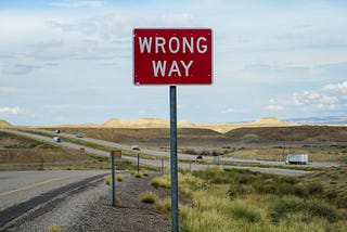 Why model validation and interpreting estimates is not trivial