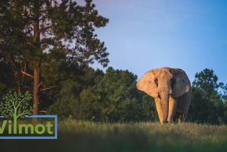 The Elephant Sanctuary: ‘Herding’ Towards Sustainability with Wilmot Inc.