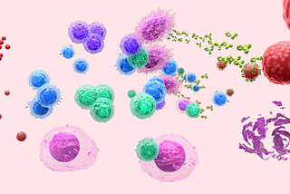 An Economist’s Data-Backed Case for Vaccines