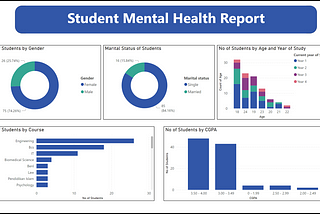 Student Mental Health Report