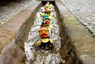 Rubber ducks in a water shoot, watery adventure, ducks in a row