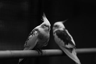 Unimagined Change, The Silent Work, the Loud Thoughts, and the Battle Each One Fights