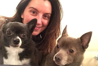 A photograph of Nicole DeCario, a woman with long brown hair, holding two small dogs.