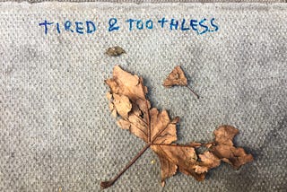 Visual Haiku