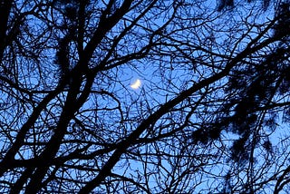 Crescent winter moon / a fingernail lingering / briefly in branches.