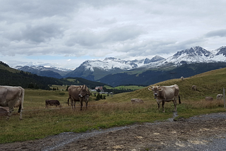 3 Leadership Lessons from the Swiss Mountains