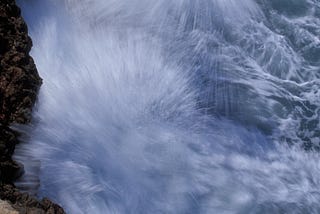 What did you do during the Pandemic Lockdowns?