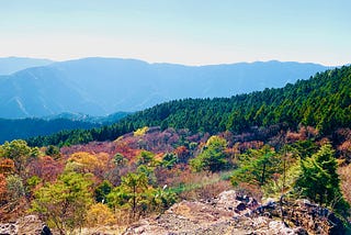 旅する「作文の学校」。徳島県上勝町で初めて”合宿型”開催をしたら、新たな可能性が見えてきた。