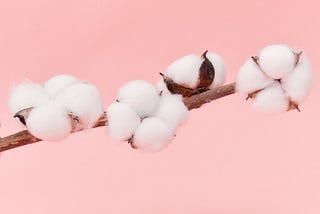Cotton Prices