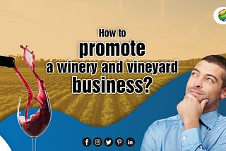 How to Promote a Winery and Vineyard Business?