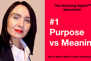 The Meaning Expert™ Newsletter, Issue #1: Purpose versus Meaning in Business