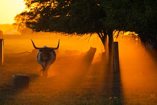 The horns of divining morality