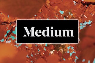 5 Quality Tips For Growing Your Medium Page.