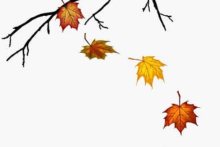 Falling of the Leaves: A Symbol of Freedom?