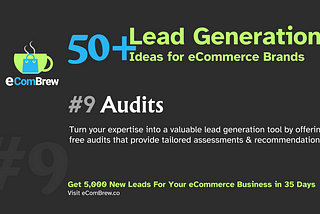 Using Audits As a Tool for Lead Generation-Idea #9 of 53