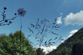 The Fact of My Feelings: Reflections on War & Peace