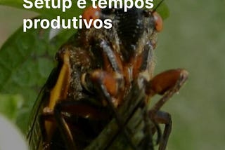 Sobre Cigarras e números primos; tempos de setup e outras reflexões