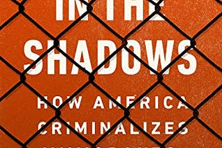 ‘Good’ vs ‘bad’ immigrants? — Alina Das’s ‘No Justice in the Shadows’ (2020)