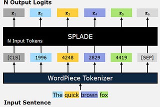 SPLADE model: The input sentence is tokenized and the tokens are the input to the SPLADE model. The model outputs N logit vectors, where each vector is of size |V| (the vocabulary size).