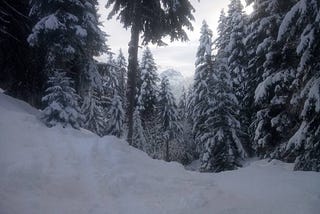 Snowboarding Dreams on the Powder