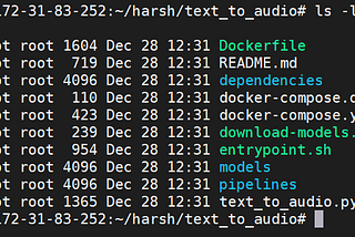 Dummies Guide to Deploying a Custom Pytorch Model on AWS Sagemaker