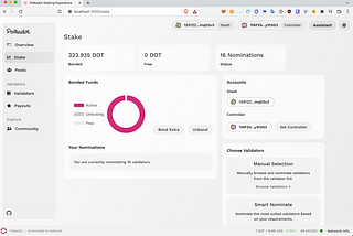 Polkadot Staking Experience: Representing the Stash and Controller Account