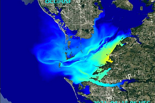TamWhat Does Piney Point Wastewater Mean for the Gulf?