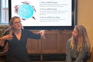 Beyond the Limits of the Past: Reimagining Impact Investment for Systems Change