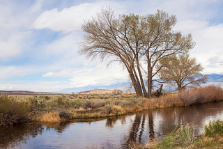 Protecting New Mexico Landowners from Washington-Knows-Best Rules