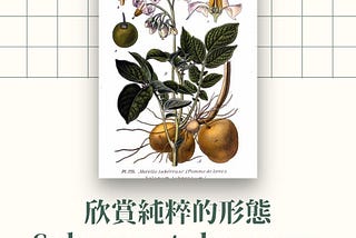 被流行食物文化制約的食材