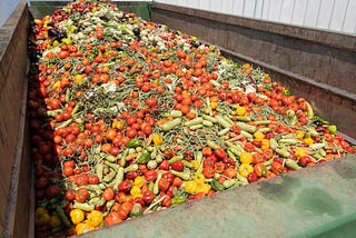 Rethinking and repurposing food losses: challenges and lessons from the field