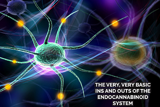 The Very, Very Basic Ins and Outs of the Endocannabinoid System