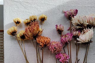 “You cannot keep watering dead flowers”