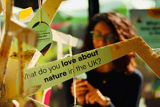 An image of a tree of paper and cardboard, with ‘What do you love about nature in the UK’. A women is holding a piece of card by a window in the background, presumably reading it out to her colleagues.