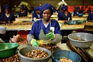 Développer l’entrepreneuriat en Afrique : une approche qui peut réduire la pauvreté ?