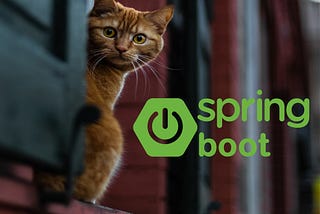 Spring boot “Hello Cat” Application for beginner.