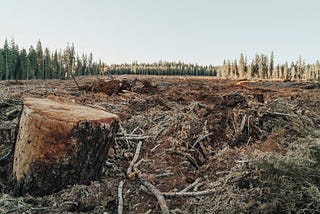 A tree log in a deforested area.