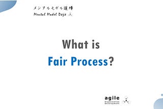 Fair Process — A Primer