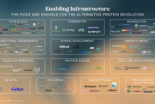 Enabling Infrastructure: Mapping the Picks and Shovels of the Alternative Protein Revolution