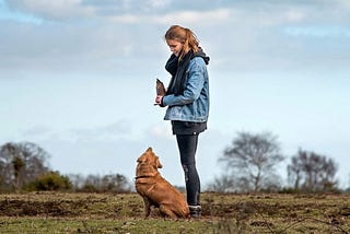 What is the best training method for dogs?