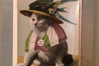 Interessierst du dich für Frauenrechte?
