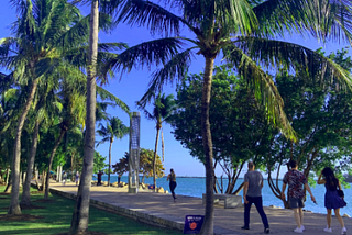 Walking down a side walk along the water that turns into the most beautiful tropical walk way into 2021.