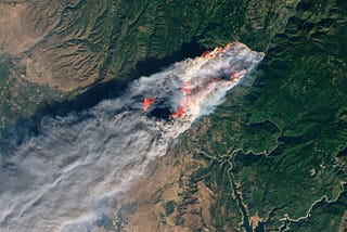Wildfire Detection and Monitoring from Space