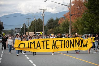Is Voting Liberal Actually Strategic for the Climate? Not exactly…