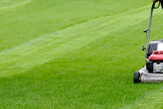 Important Benefits of Lawn Care Services