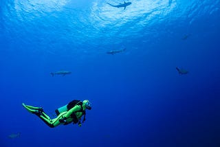 Life Lessons Reinforced by Diving