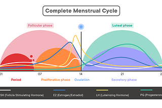 The Menstrual Cycle: Breaking it Down