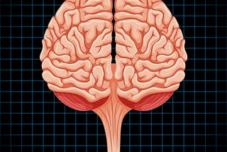 How Resistance Exercise Changes Your Brain After 55?