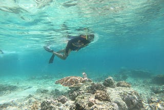 snorkeling gili trawangan